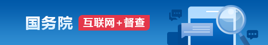 國務院互聯網+督查